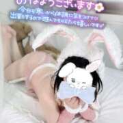 ヒメ日記 2026/01/28 08:26 投稿 風花（ふうか） 丸妻 錦糸町店