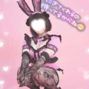 ヒメ日記 2026/02/24 14:26 投稿 風花（ふうか） 丸妻 錦糸町店