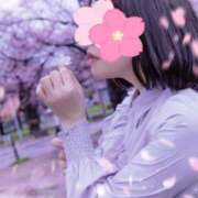 ヒメ日記 2026/04/07 14:31 投稿 風花（ふうか） 丸妻 錦糸町店