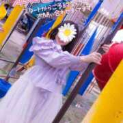 ヒメ日記 2026/04/21 08:49 投稿 風花（ふうか） 丸妻 錦糸町店