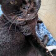 樹奈（じゅな） 寒い夜だから… 東金人妻花壇