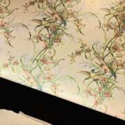 ヒメ日記 2025/11/17 23:30 投稿 そのこ 奥鉄オクテツ神奈川店（デリヘル市場グループ）