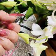 ヒメ日記 2025/12/11 08:55 投稿 そのこ 奥鉄オクテツ神奈川店（デリヘル市場グループ）