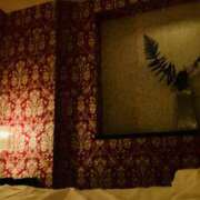 ヒメ日記 2026/01/11 23:30 投稿 そのこ 奥鉄オクテツ神奈川店（デリヘル市場グループ）