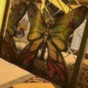 ヒメ日記 2026/02/04 09:00 投稿 そのこ 奥鉄オクテツ神奈川店（デリヘル市場グループ）