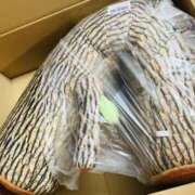 ヒメ日記 2026/02/17 09:00 投稿 そのこ 奥鉄オクテツ神奈川店（デリヘル市場グループ）