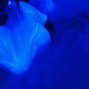 ヒメ日記 2026/02/25 09:35 投稿 そのこ 奥鉄オクテツ神奈川店（デリヘル市場グループ）