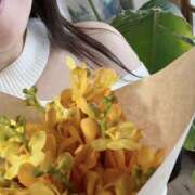 ヒメ日記 2026/04/16 08:25 投稿 そのこ 奥鉄オクテツ神奈川店（デリヘル市場グループ）