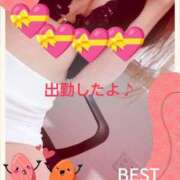 りん 出勤したよ(●´ω｀●) 夜這専門発情する奥様たち 難波店