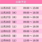 ヒメ日記 2025/11/23 21:49 投稿 しずか スピードエコ日本橋店