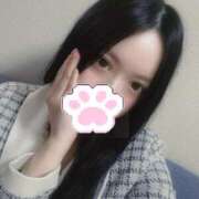 ヒメ日記 2025/09/30 18:35 投稿 まゆ メイドde本舗