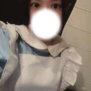 ヒメ日記 2025/10/05 16:14 投稿 まゆ メイドde本舗