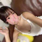 ヒメ日記 2025/10/13 21:20 投稿 まな チューリップ福井本館