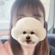 ヒメ日記 2025/10/04 12:42 投稿 乃木　まゆみ ベルサイユの薔薇