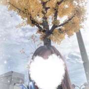 ヒメ日記 2025/11/27 13:18 投稿 乃木　まゆみ ベルサイユの薔薇