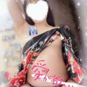 ヒメ日記 2025/12/15 12:49 投稿 乃木　まゆみ ベルサイユの薔薇