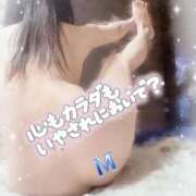 ヒメ日記 2025/12/18 10:26 投稿 乃木　まゆみ ベルサイユの薔薇