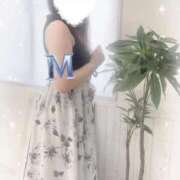 ヒメ日記 2025/12/20 17:32 投稿 乃木　まゆみ ベルサイユの薔薇