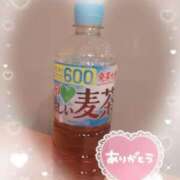 ヒメ日記 2025/11/24 19:55 投稿 あんな 奥様さくら梅田店
