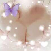 ヒメ日記 2026/01/08 11:35 投稿 あんな 奥様さくら梅田店