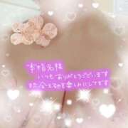 ヒメ日記 2026/04/19 13:48 投稿 あんな 奥様さくら梅田店