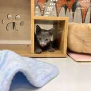 ヒメ日記 2025/10/06 11:39 投稿 さり ハニープラザ（ユメオト）