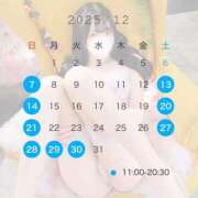 るみ 🤍12月の予定🤍 TOKYO BUNNYS CLUB