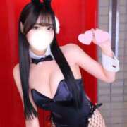 ヒメ日記 2026/03/20 07:33 投稿 るみ TOKYO BUNNYS CLUB