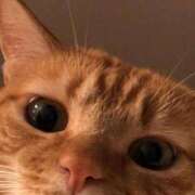 ヒメ日記 2025/10/13 12:45 投稿 吉沢　ひなの YOKOHAMA FIVESTAR（横浜ファイブスター）