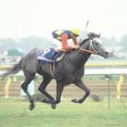 ヒメ日記 2025/11/17 19:02 投稿 吉沢　ひなの YOKOHAMA FIVESTAR（横浜ファイブスター）