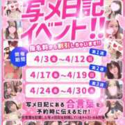 ヒメ日記 2026/04/03 12:16 投稿 あいか DCP