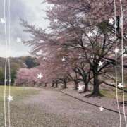 ヒメ日記 2026/04/08 05:41 投稿 あいか DCP