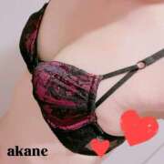 ヒメ日記 2025/10/06 17:01 投稿 七瀬あかね マダムと紳士