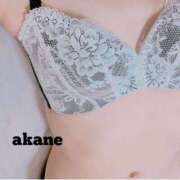 ヒメ日記 2025/10/10 14:31 投稿 七瀬あかね マダムと紳士