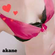 ヒメ日記 2025/10/13 12:31 投稿 七瀬あかね マダムと紳士