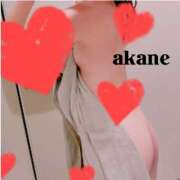 ヒメ日記 2025/10/25 10:03 投稿 七瀬あかね マダムと紳士