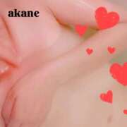 ヒメ日記 2025/10/27 13:11 投稿 七瀬あかね マダムと紳士