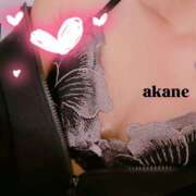 ヒメ日記 2025/10/31 14:11 投稿 七瀬あかね マダムと紳士