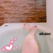 ヒメ日記 2025/11/07 20:21 投稿 七瀬あかね マダムと紳士