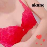 ヒメ日記 2025/11/11 10:41 投稿 七瀬あかね マダムと紳士