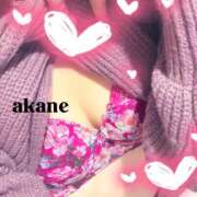 ヒメ日記 2025/11/14 14:21 投稿 七瀬あかね マダムと紳士