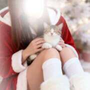 ヒメ日記 2025/12/09 01:51 投稿 七瀬あかね マダムと紳士