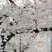 ヒメ日記 2026/03/30 19:18 投稿 そら 大塚 虹いろ回春