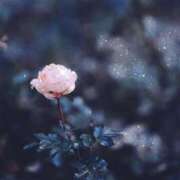 ふゆ 向かってます🍀.* 渋谷じゃっくす