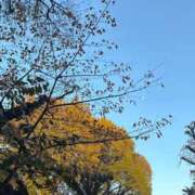 ヒメ日記 2025/12/14 13:46 投稿 ふゆ 渋谷じゃっくす