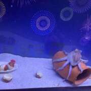 ヒメ日記 2025/12/15 10:47 投稿 ふゆ 渋谷じゃっくす