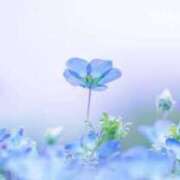 ヒメ日記 2025/12/25 11:12 投稿 ふゆ 渋谷じゃっくす