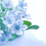 ヒメ日記 2025/12/27 23:59 投稿 ふゆ 渋谷じゃっくす