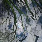 ヒメ日記 2026/01/31 01:01 投稿 ふゆ 渋谷じゃっくす