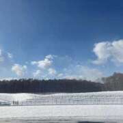 ヒメ日記 2026/02/17 12:28 投稿 ふゆ 渋谷じゃっくす